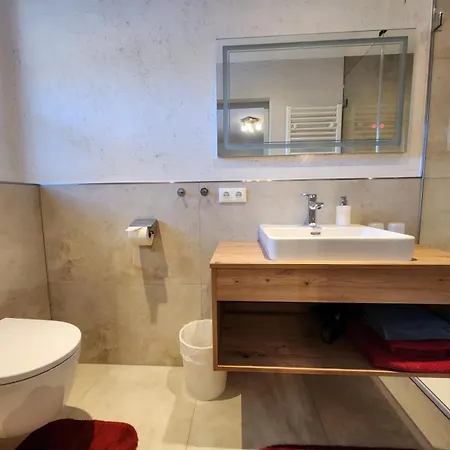 Gaestehaus Hoelzl 住宿加早餐酒店 3*